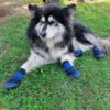 4x Anti-Slip Pet Boots Dog Puppy Waterproof Shoes Protective Rain-Booties Socks