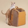 Outdoor Portable Cat Pet Backpack Large Capacity Breathable