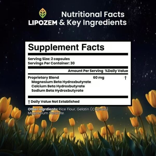 Hot Product Lipozem Fat Zinc Probiotic Capsules. (DDU Payments in destination country may apply - buyer's responsibility)