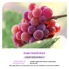Grape Seed Moisturizing Eye Mask Care Eye Pad (note: you may have to pay custom or other taxes on receipt)