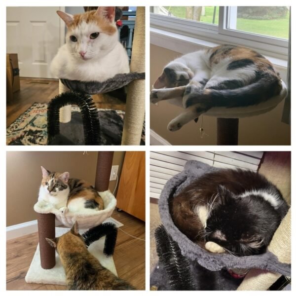 POLAND ONLY - 27.8 inch Tall Cat Tree Tower For Indoor Cats  Multi-Level Cat Furniture With Sisal Scratching Posts, Plush Perches & Hanging Toys Large Durable Cat Tower, Perfect Gift For Cat Lovers