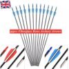 801ae8de-42bc-401a-97b5-563f94c029c1.jpg UK ONLY - 30x Fiberglass Archery Arrows For Compound&Recurve Bow Target Shooting Practice